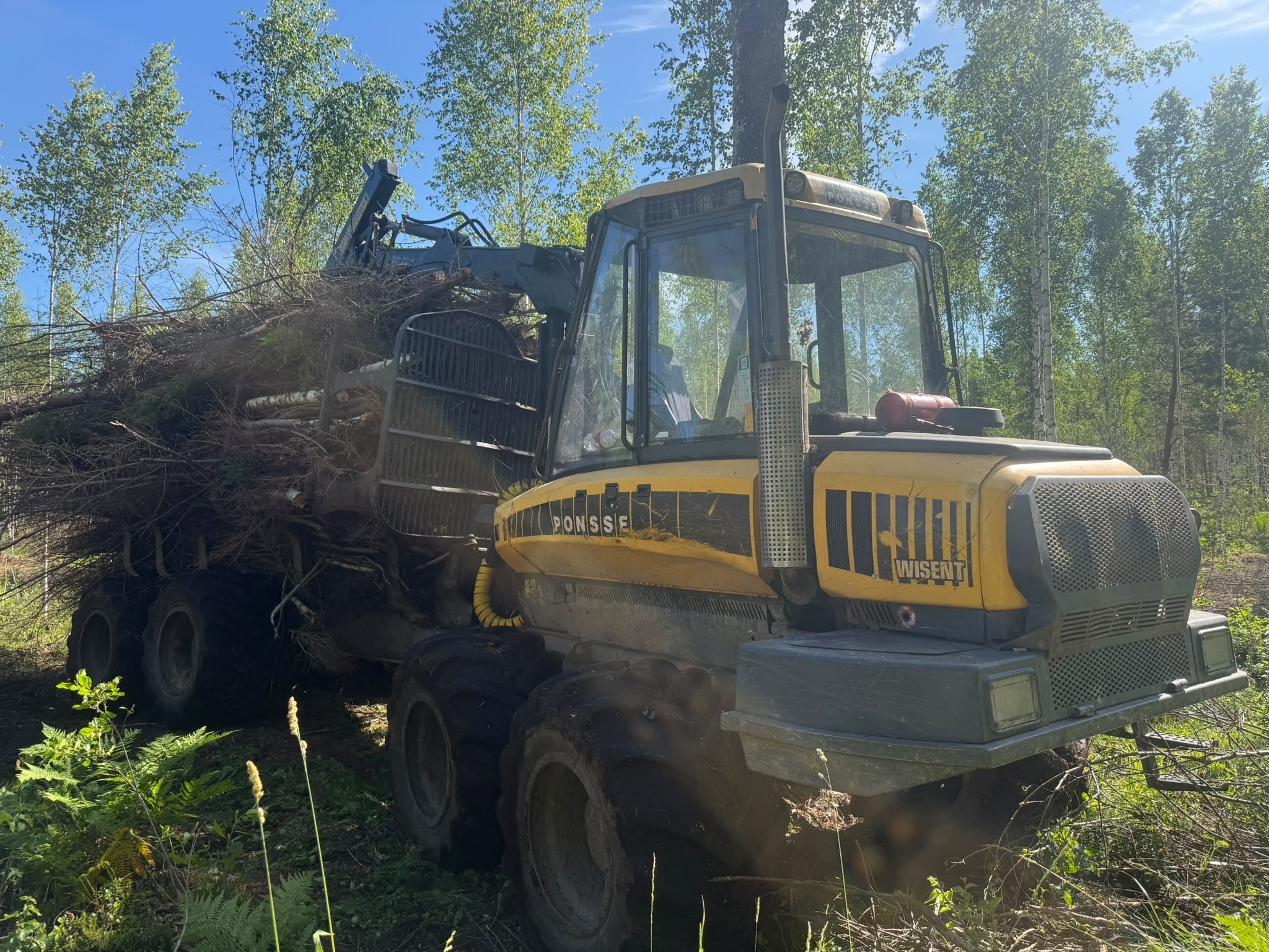 PONSSE WISENT forvarders | 12 t kravnesība | 204 ZS | 2013.gads